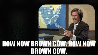 hownow-browncow.gif