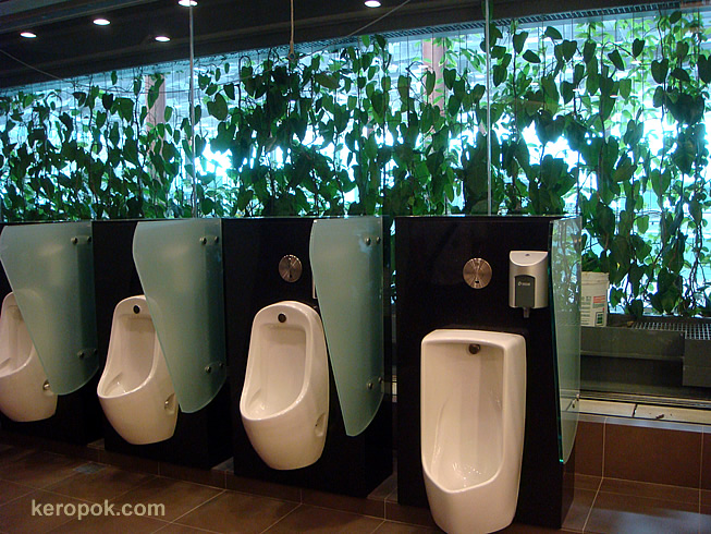 T3toilet.jpg