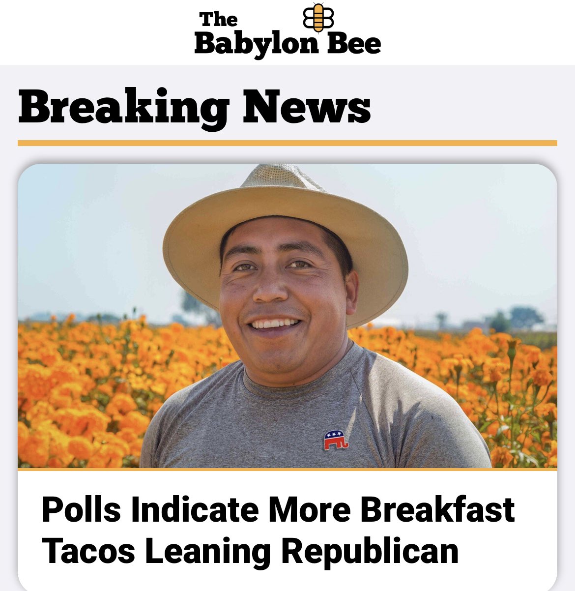 breakfasttacosleanrepublicans.jpg