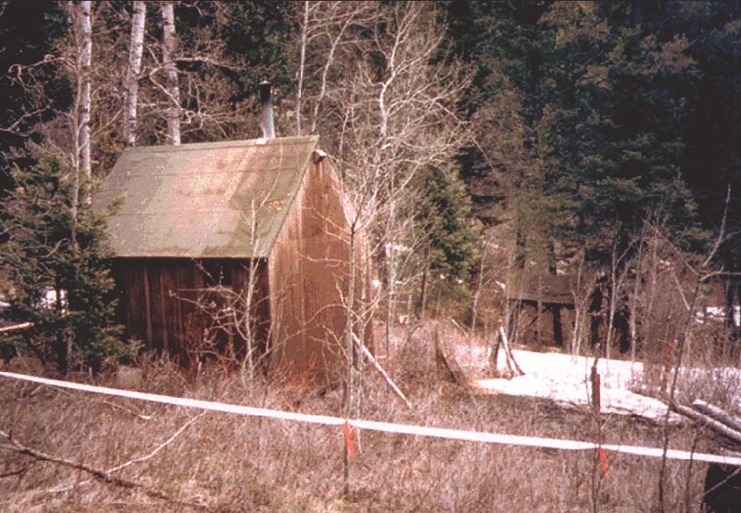 unabomber-cabin.jpeg