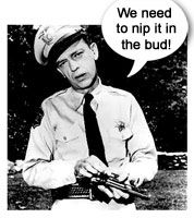 b314c1d1feccb87bb7c91863d079b37d--don-knotts-barney-fife.jpg