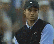 tiger-woods-stare.gif
