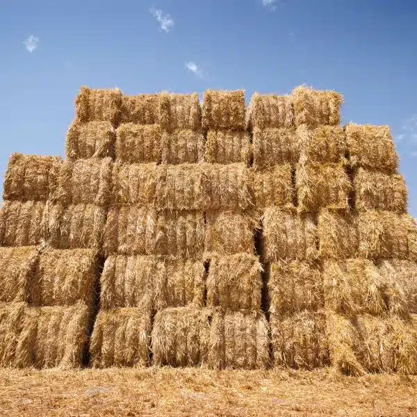 How-to-stack-square-hay-bales.webp