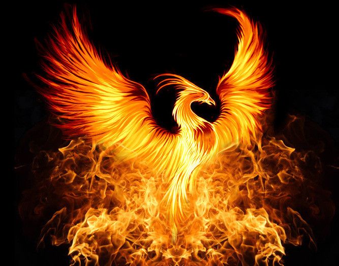 86b830959fcd5cc6ab2956a93d0439de--phoenix-bird-phoenix-tatto.jpg