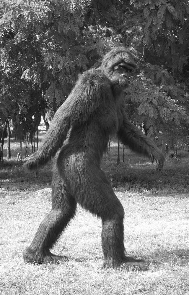 bigfoot.jpg