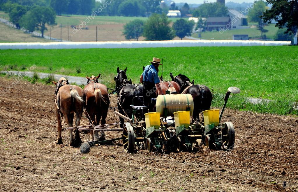 depositphotos_76380167-stock-photo-lancaster-county-pa-amish-man.jpg