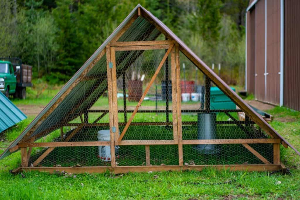 chicken-tractor-front-1024x683.jpg