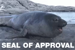 seal-approval.gif