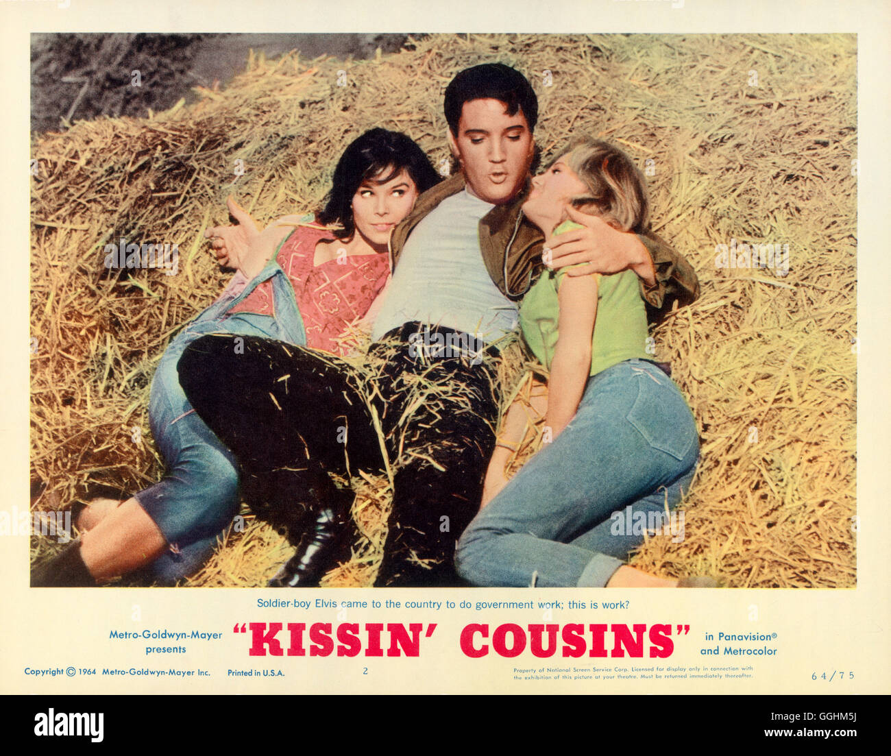 die-wilden-weiber-von-tennessee-kissing-cousins-usa-1964-gene-nelson-GGHM5J.jpg