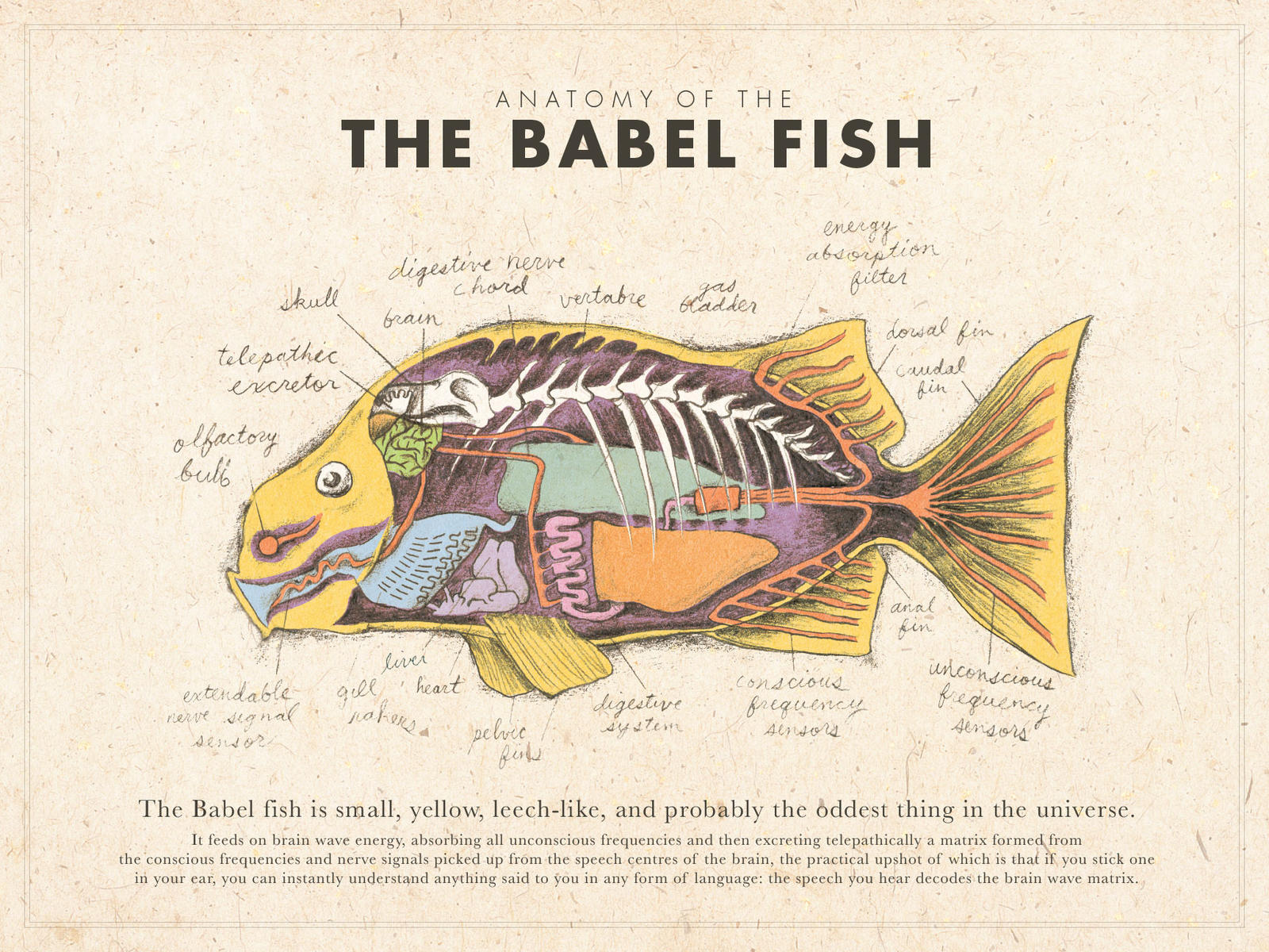 babel_fish_poster__color__by_mrrtist21_d8eb1ea-fullview.jpg