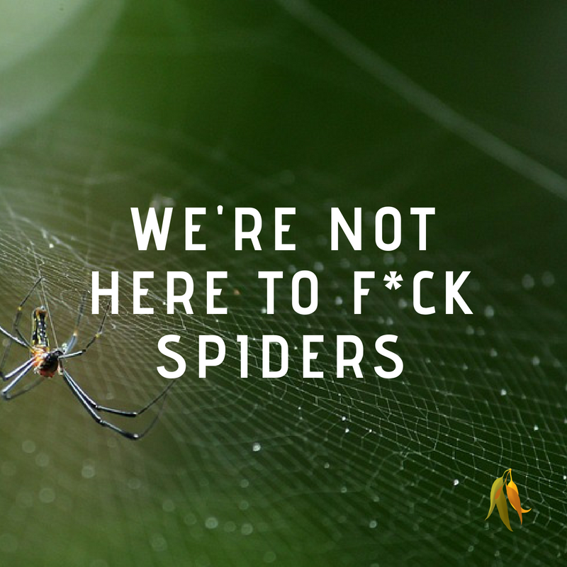 were_not_here_to_f____spiders_1.png