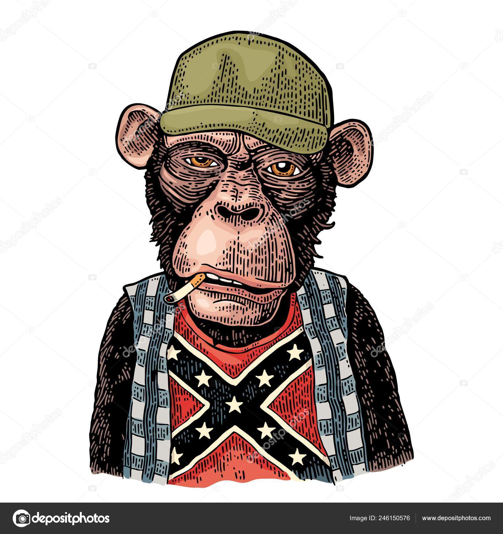 depositphotos_246150576-stock-illustration-monkey-redneck-in-trucker-cap.jpg