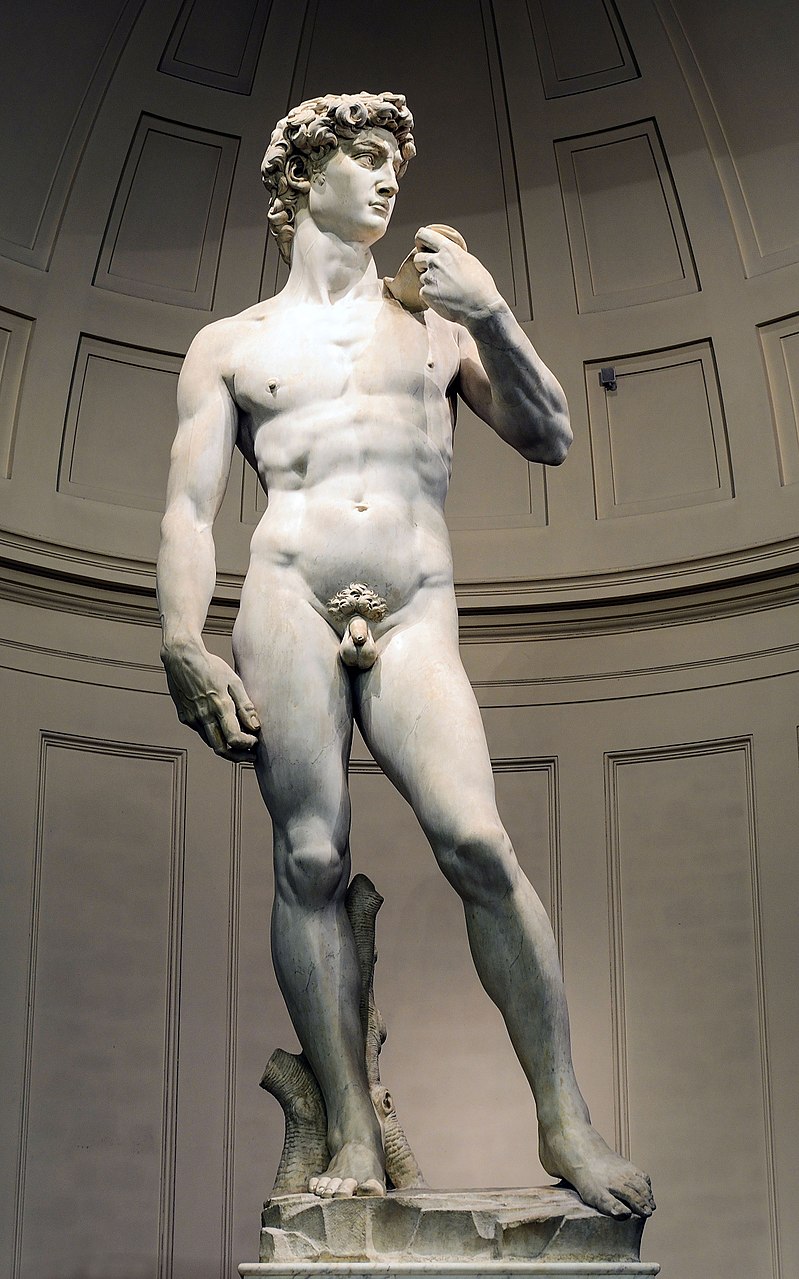 799px-Michelangelo%27s_David_2015.jpg